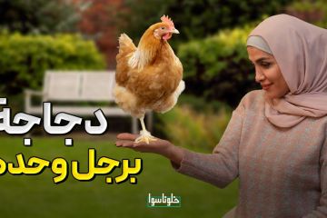 كيف أصبح الدجاج برجل وحدة| تعرف على قصة كيف حدث ذلك