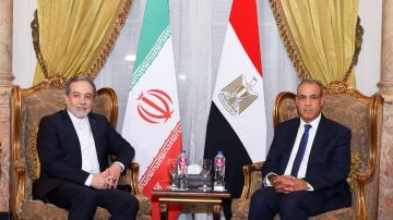 اتصال هاتفي بين وزيري خارجية مصر وإيران ومدير الوكالة الدولية للطاقة الذرية لبحث الملف النووي الإيراني