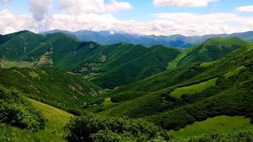 غابات أرسباران: الجوهرة الخضراء والكنز الطبيعي لإيران